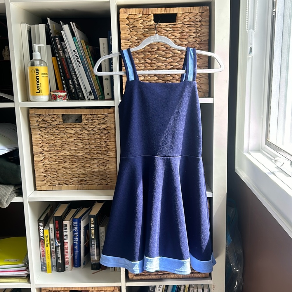 Aqua Girl Mini Navy and Light Blue Dress